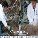 경상북도 야생동물 구조관리센터 이미지