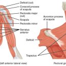이천쌤 바디클리닉 이미지