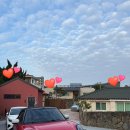 제주청년살이 이미지