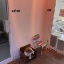 다다펫스파 이미지