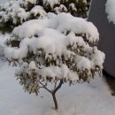 마산면사무소 이미지
