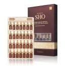 코리아나 이미지