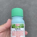 동부농약종묘사 이미지
