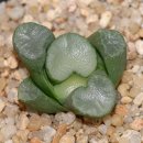 만상농장 이미지