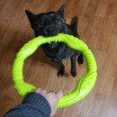 대형견장난감 :: <b>요세미티</b><b>펫</b> LAROO 라루듀라링30cm