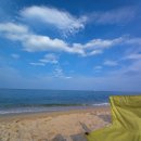 해오름 거진항생선찜 이미지