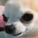 초여라이프