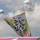 금산인삼 네이버블로그