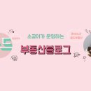 대산부동산중개사무소 이미지