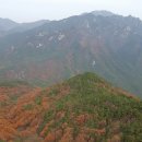 남산 이미지
