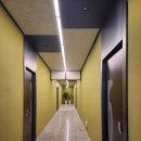 사랑해수지야 이미지