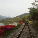 섬진강 레일바이크 이미지