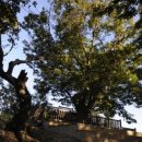 군자성황사지 이미지