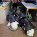 서울특별시성동구도시관리공단 티스토리