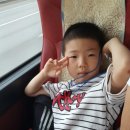 상록태권도 이미지