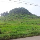 태봉목장 이미지