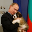 푸틴이 선물받은 강아지들 이미지