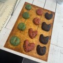 펫푸드스쿨 | [부평/부천] 베이킹 원데이 클래스 추천 '펫푸드스쿨&amp;베이킹공방' 후기