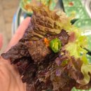 명인고기 이미지