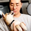 뉴독일안경 이미지