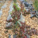 푸르메농장 이미지