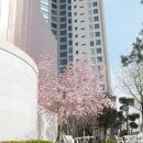 생활속의 조경이야기 이미지