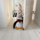 리마인드피부과의원 | 팔팔끓는 8월의 일기 - 싱가포르 해외 여행 1편 (출발편)