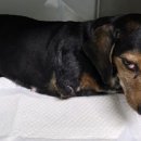 다남로 165번길 이미지