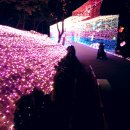 청도 프로방스 불빛 축제 이미지