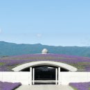 두대로-2 이미지