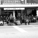 고도리정류소 Daum카페