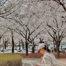 동촌유원지 서편주차장 이미지