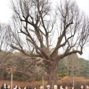 은행나무경로당 이미지