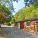 단양남천계곡물가 이미지