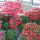 재능교육천안연수원 이미지