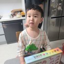 토이캐치 | 5살 아이 엄마표 집콕 놀이 풀무원 토이쿠키 만들기 캐치티니핑