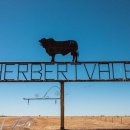 새삼목장 이미지