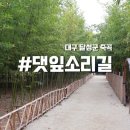 도림초등학교 주차장 입구 | 죽곡댓잎소리길 입구 위치 대구 아기랑 갈만한곳 죽곡산책로