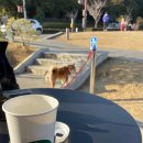 원호골프클럽 이미지