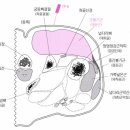 대실365한의원 이미지