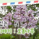 식물이야기 이미지