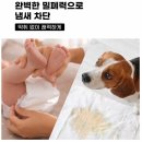 카페양문 | 삶의 질 수직 상승! 다룸 자동 센서 쓰레기통 20L 양문형 실사용 후기