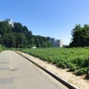 안성시일죽면보건지소 이미지