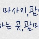 선일장의사