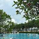 w-5 | 싱가포르 5성급 호텔 추천 W 센토사 코브 - 디럭스 트윈룸 가격 후기