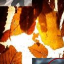 더블유진병원 이미지