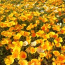 청송세차장 이미지