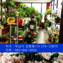 무궁화꽃화원 이미지