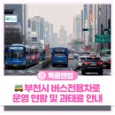 버스전용차로(5) | 부천시버스전용차로 준수 🚌부천시 버스전용차로는 비워주세요!