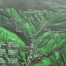 2007-주011 Daum카페